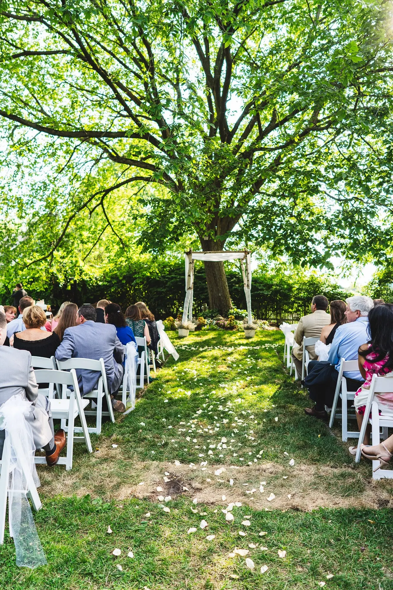 Ceremony aisle beneath an enormous old tree at Feast at Round Hill