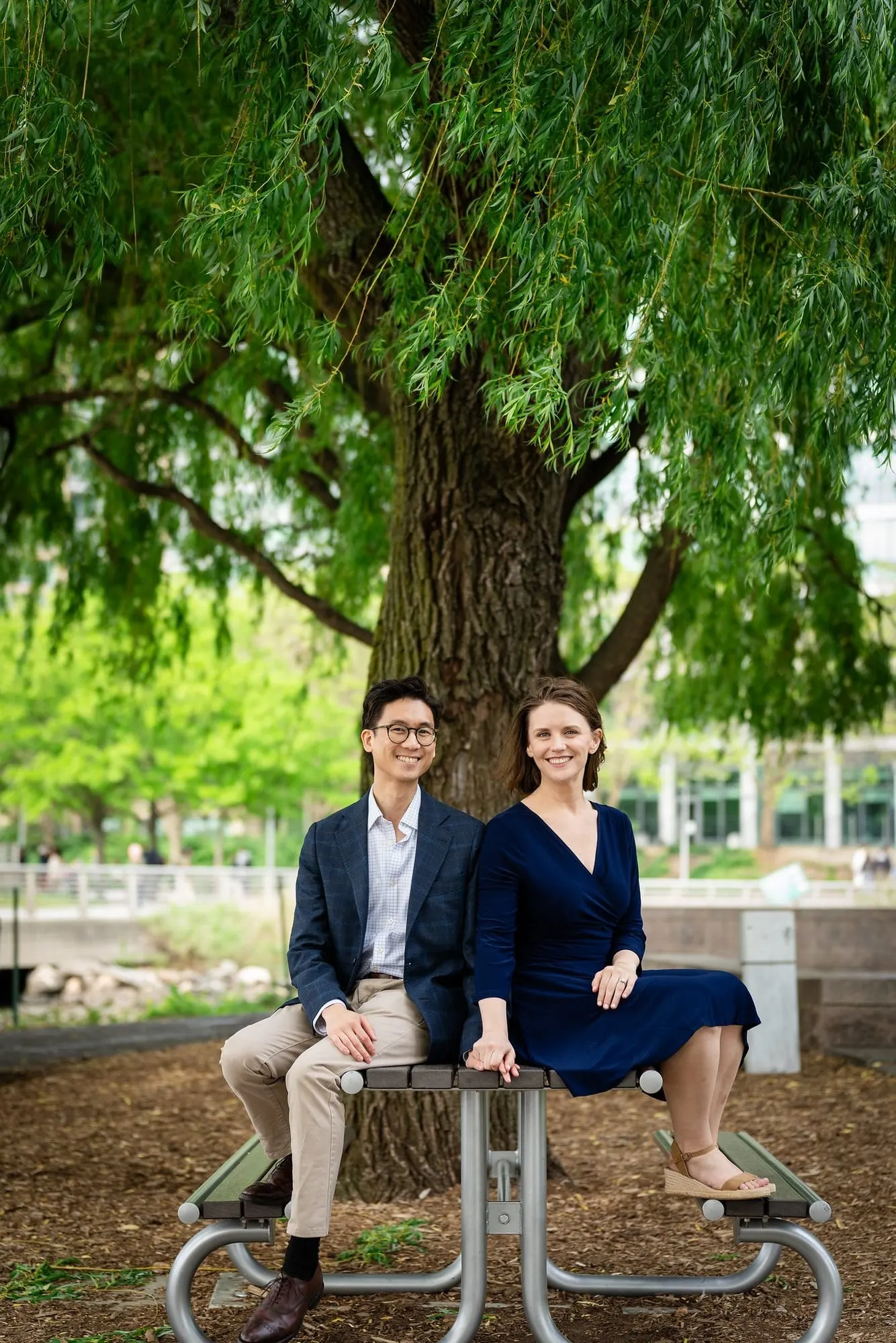 Couple seated on a bench beneath a large tree in the park