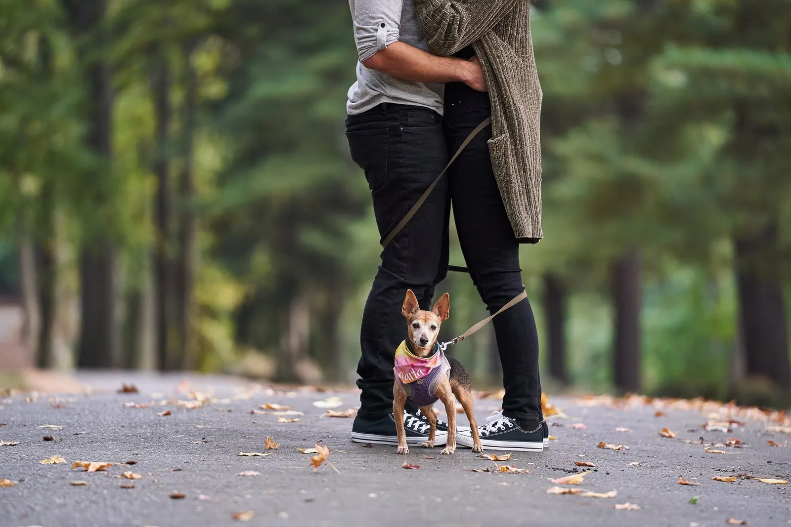 New Jersey engagement session with the couple’s dog